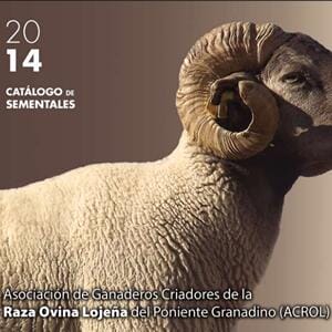 Oveja Lojena - Catalogo - Catalogo de Sementales 2014