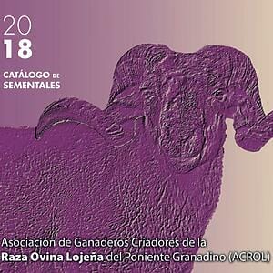 Oveja Lojena - Catalogo - Catalogo de Sementales 2018