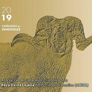 Oveja Lojena - Catalogo - Catalogo de Sementales 2019