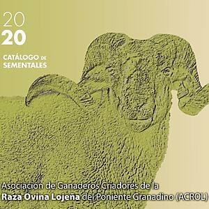 Oveja Lojena - Catalogo - Catalogo de Sementales 2020