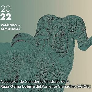 Oveja Lojena - Catalogo - Catalogo de Sementales 2022