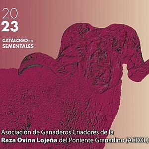 Oveja Lojena - Catalogo - Catalogo de Sementales 2023