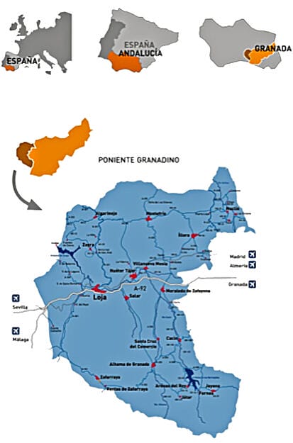 Oveja Lojena - Historia - Plano